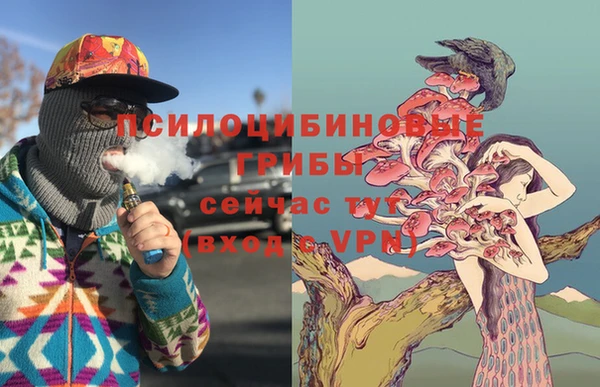 прущие грибы Алзамай
