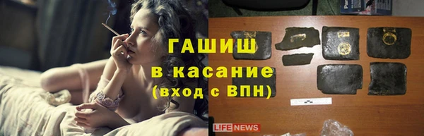 прущие грибы Алзамай