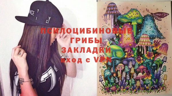 прущие грибы Алзамай