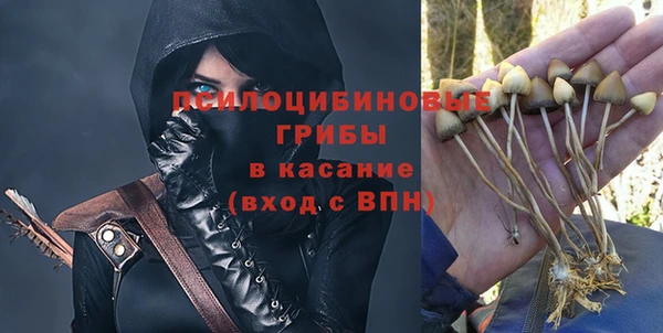 тгк Алексин