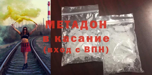 прущие грибы Алзамай